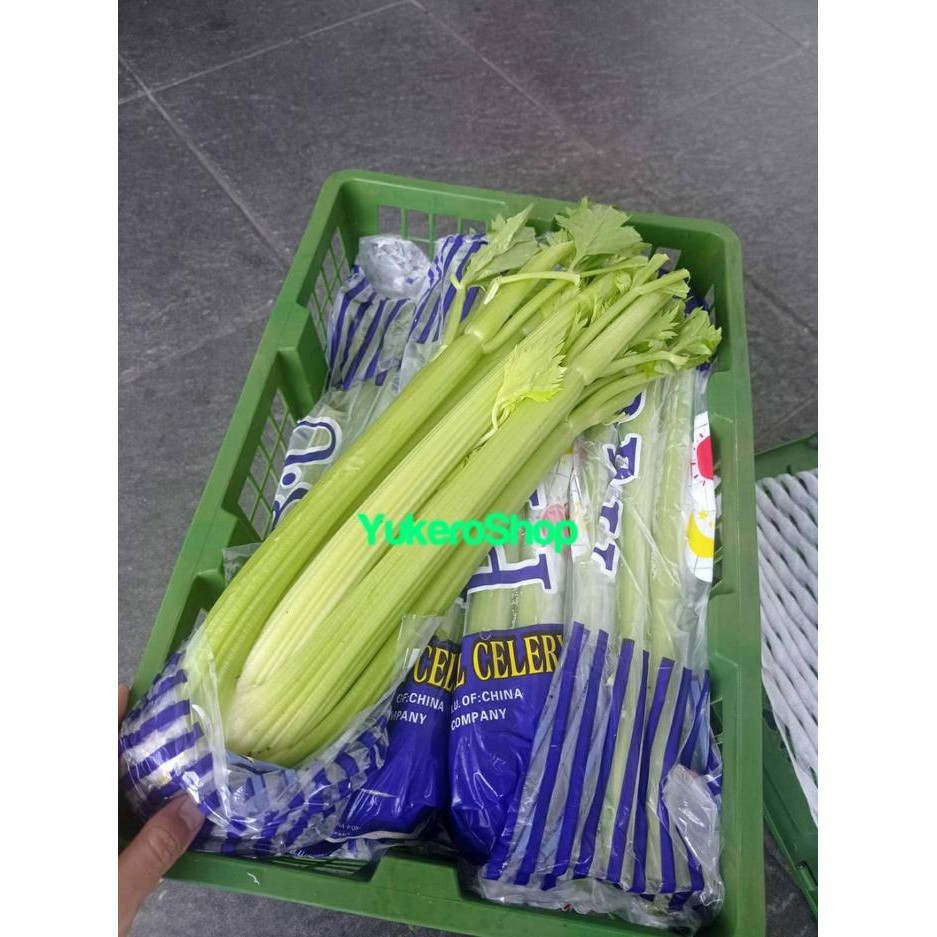 

BnyKBonusBelidiMari- Celery Stick Import / Seledri Stik Impor per 10 Kg