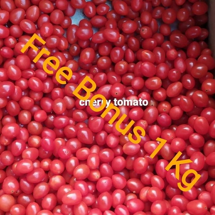 

BnyKBonusBelidiMari- tomat cherry + Gratis Bonus