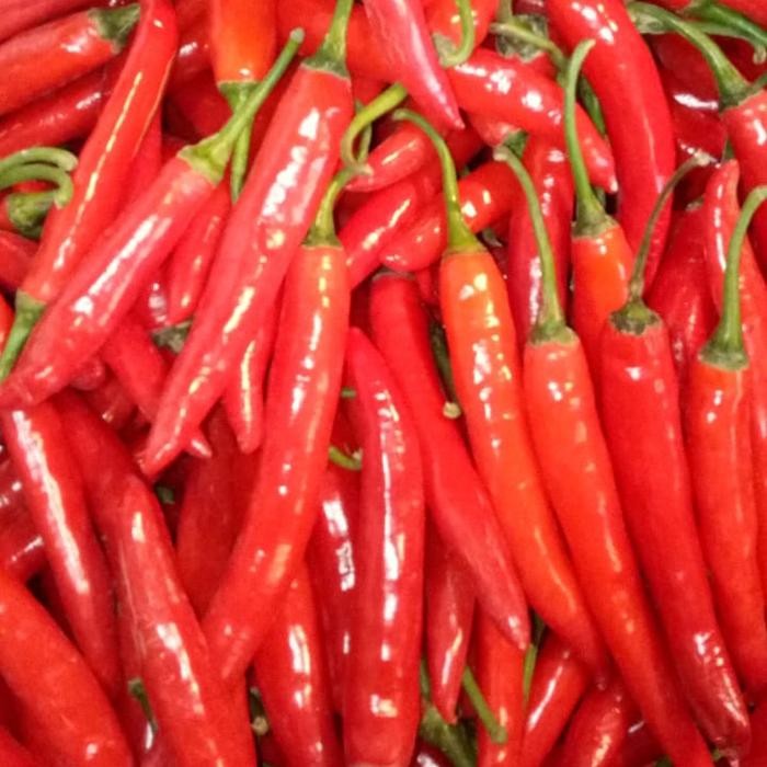 

BnyKBonusBelidiMari- Cabe Merah Besar TW 1kg - Grosir