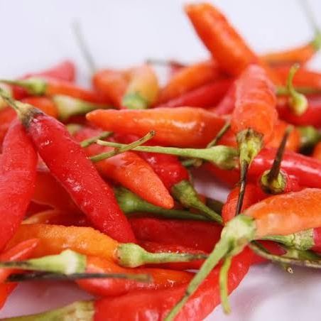 

BnyKBonusBelidiMari- Cabe Rawit Merah Segar - 250 Gram