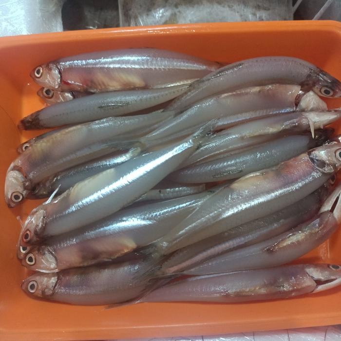 

PastiFreShNya- Ikan Teri Selasih (Teri Jumbo)