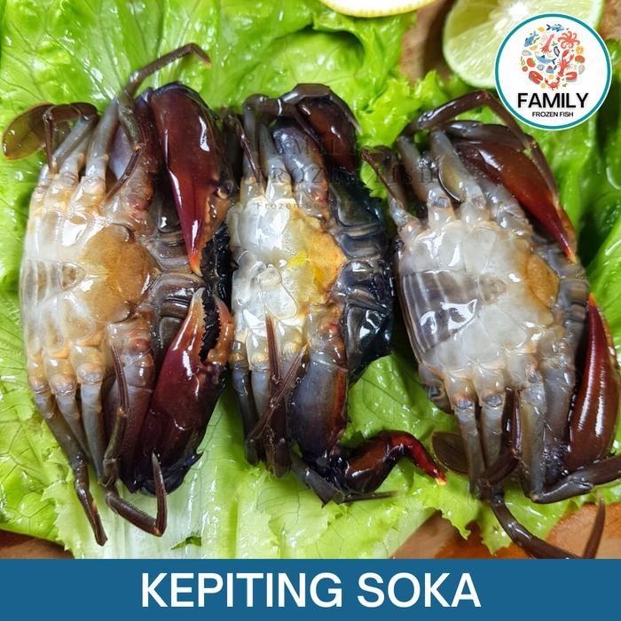 

PastiFreShNya- Kepiting Soka Kepiting Cangkang Lunak Frozen Export Quality