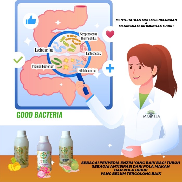 

MFA Promic Buah Naga, Jambu Kristal, dan Nanas 200ml Biang Minuman Fermentasi