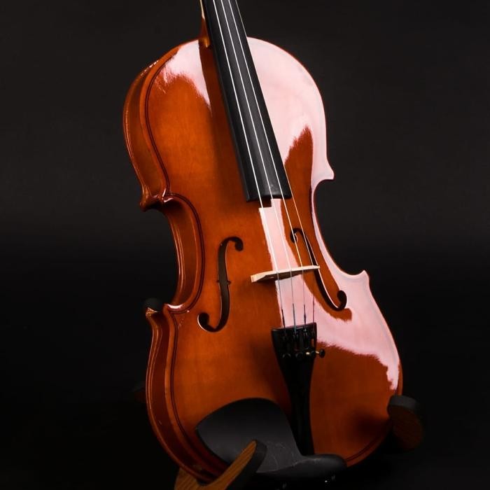 Biola Akustik 4/4 - Biola Makoa Full Set Hardcase - Violin Makoa