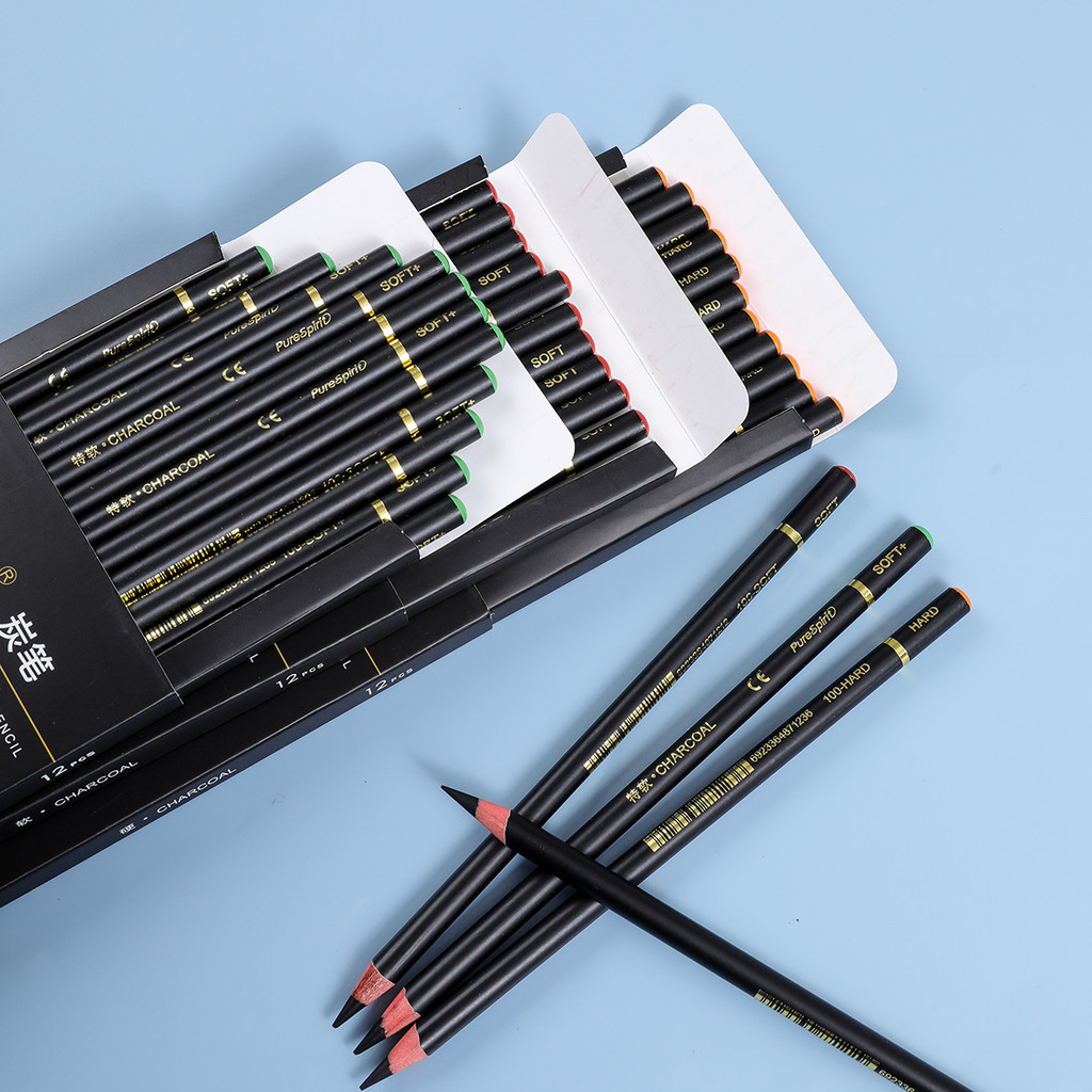 

12Pcs Professional Charcoal Pencils For Drawing, Sketching, Shading, Artist Pencils For Beginners &