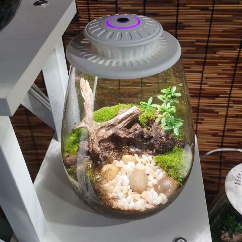 Plant Light Ufo Micro Landscape Fill Light Moss Ecological Bottle Light Led Plant Growth Light