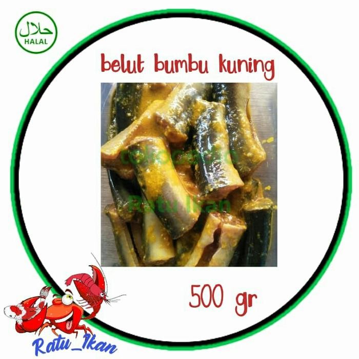 

belut bumbu kuning [500Gr] siap masak