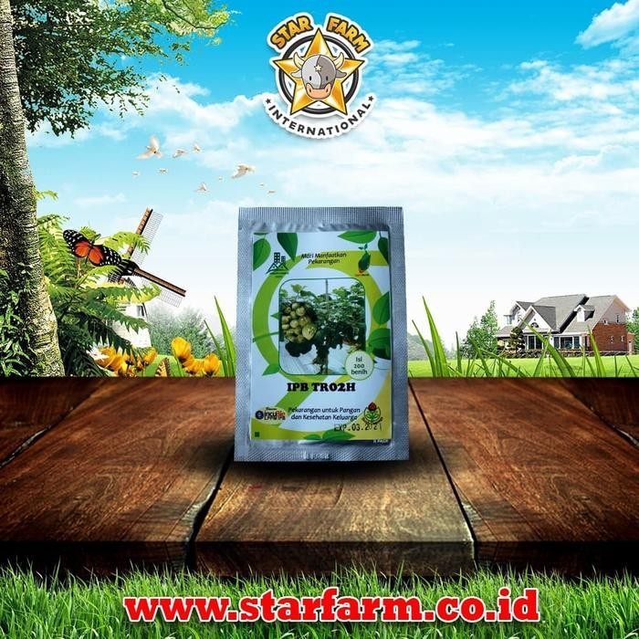 #####] Benih Terong Lalab Hijau Lurik IPB TR02H - Star Farm