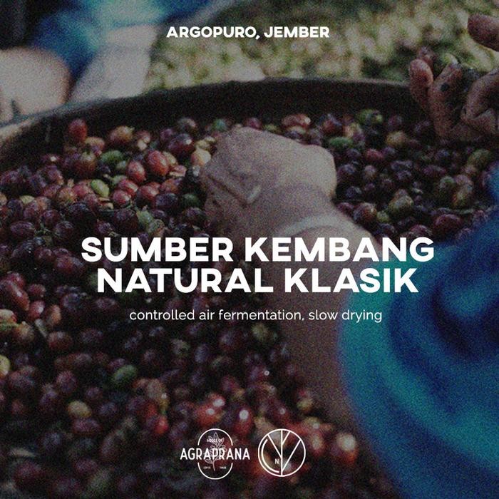 

Greenbean Arabika Argopuro Sumber Kembang NATURAL KLASIK AGRAPRANA