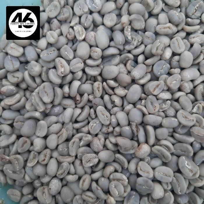 

Green Bean Arabika Specialty Fullwash Sumatra Tanah Karo