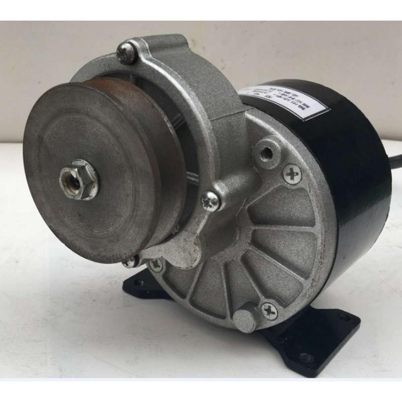 MY1016Z2 escovado DC Gear Motor com polia de correia, 250W, 350W, 12V, 24V, 36V