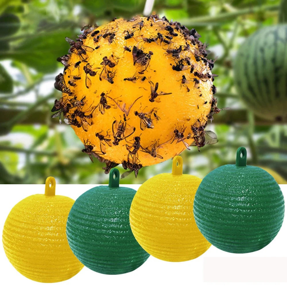 Baru Bulat Perangkap Lalat Buah (Yellow Trap Likat Kuning)