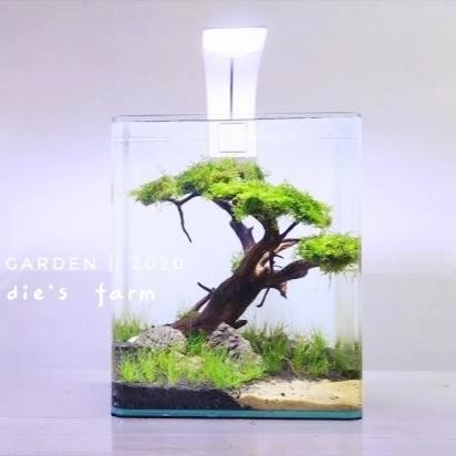 PREMIUM Aquarium Aquascape Mini Bonsai Soliter Akrilik Ikan Cupang Hias