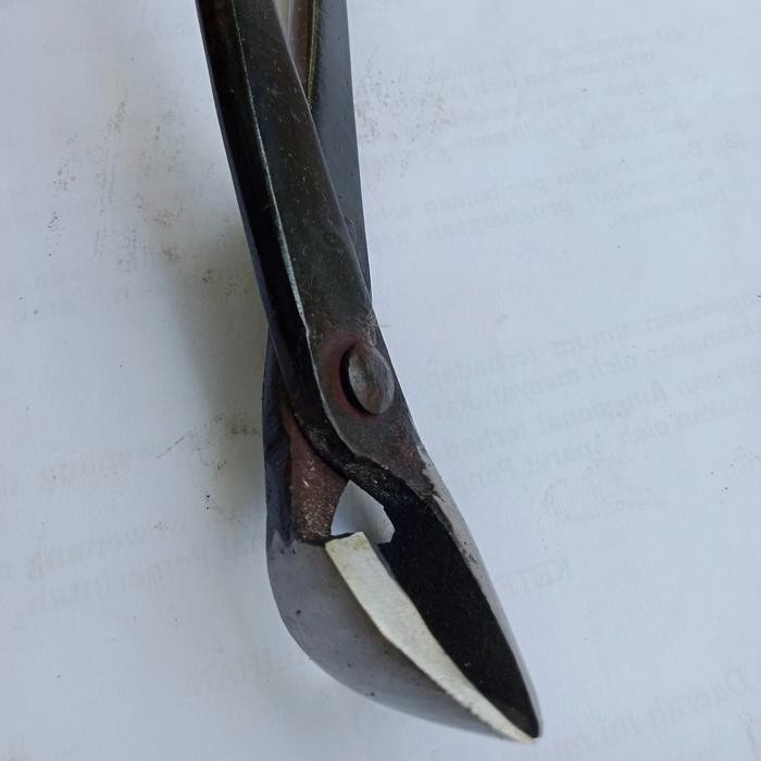 PREMIUM catok bonsai miring cembung