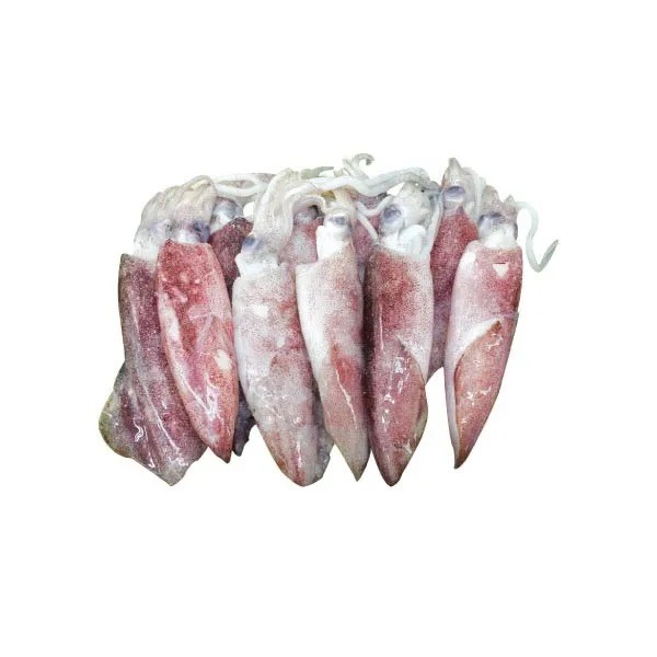 

Cumi - Cumi / Be Cumi / Squid