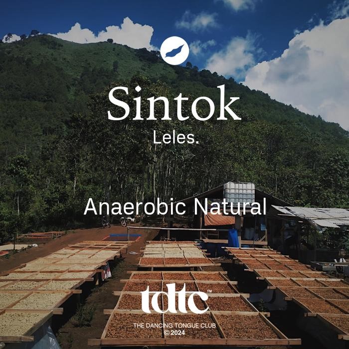 

Greenbeans Sintok Leles Anaerobic Natural