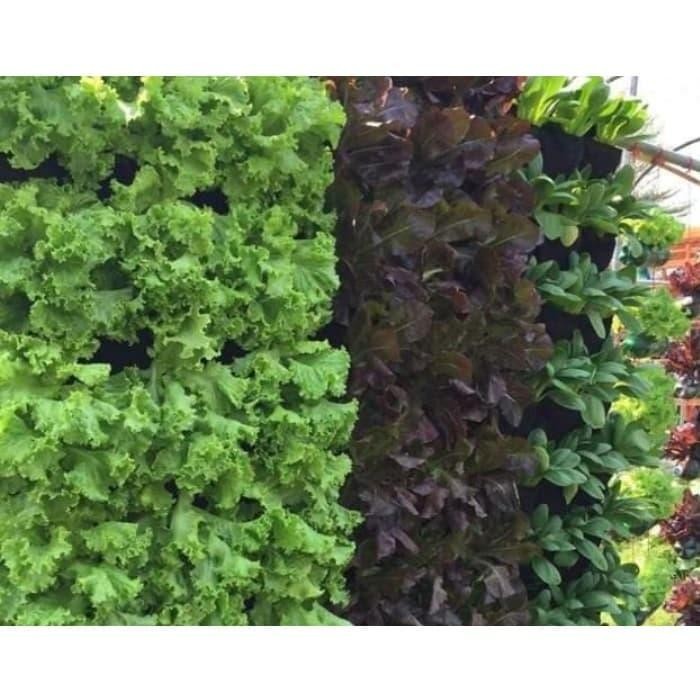 Wall Planter Bag Vertical Garden Screen Wall Isi 15 Kantong
