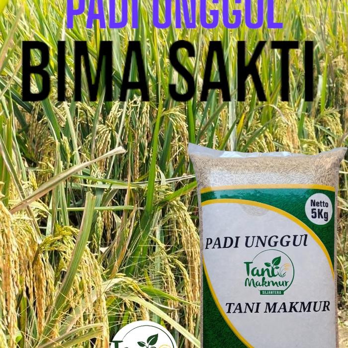 Benih bibit padi bima sakti kemasan 5kg original