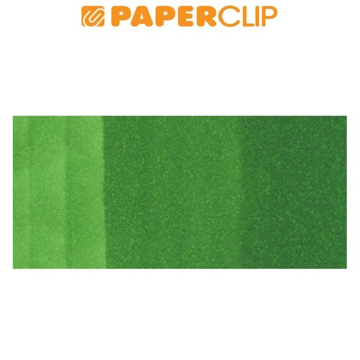 

SPIDOL COPIC CIAO CCM-G07 NILE GREEN