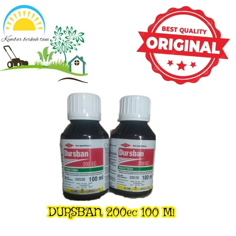 Insektisida Dursban 200EC 100Ml