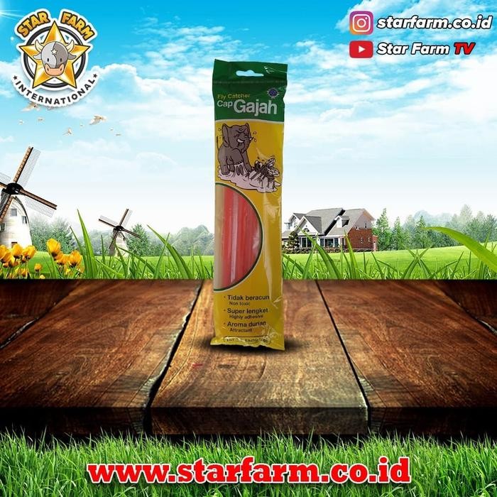 

.........] Lem Lalat Cap Gajah Isi 12 Pcs - Star Farm