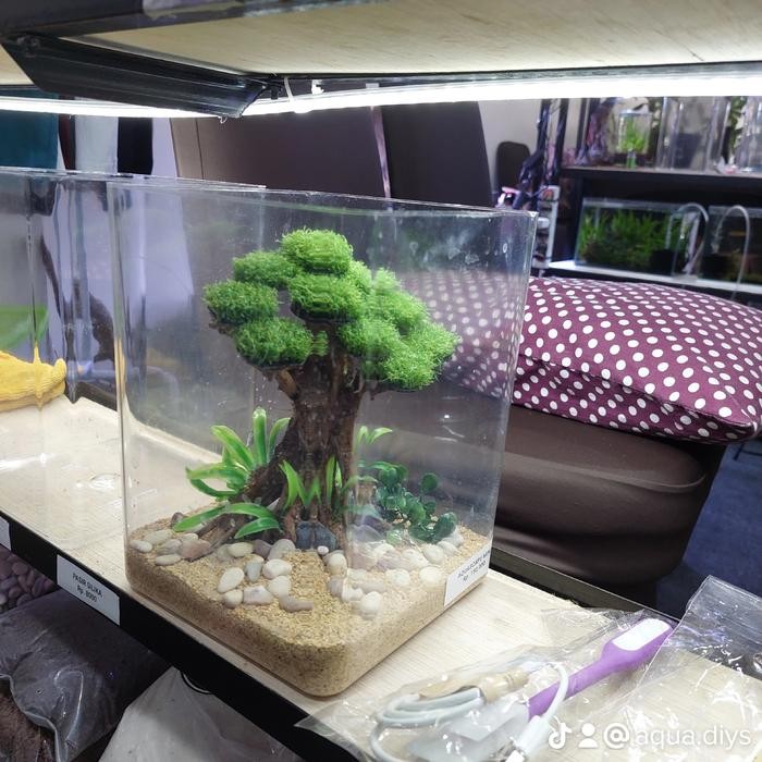 PREMIUM Aquascape Fullset Bonus Lampu USB Tema Bonsai dan Natural
