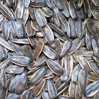 

Kwaci Bunga Matahari 500Gram