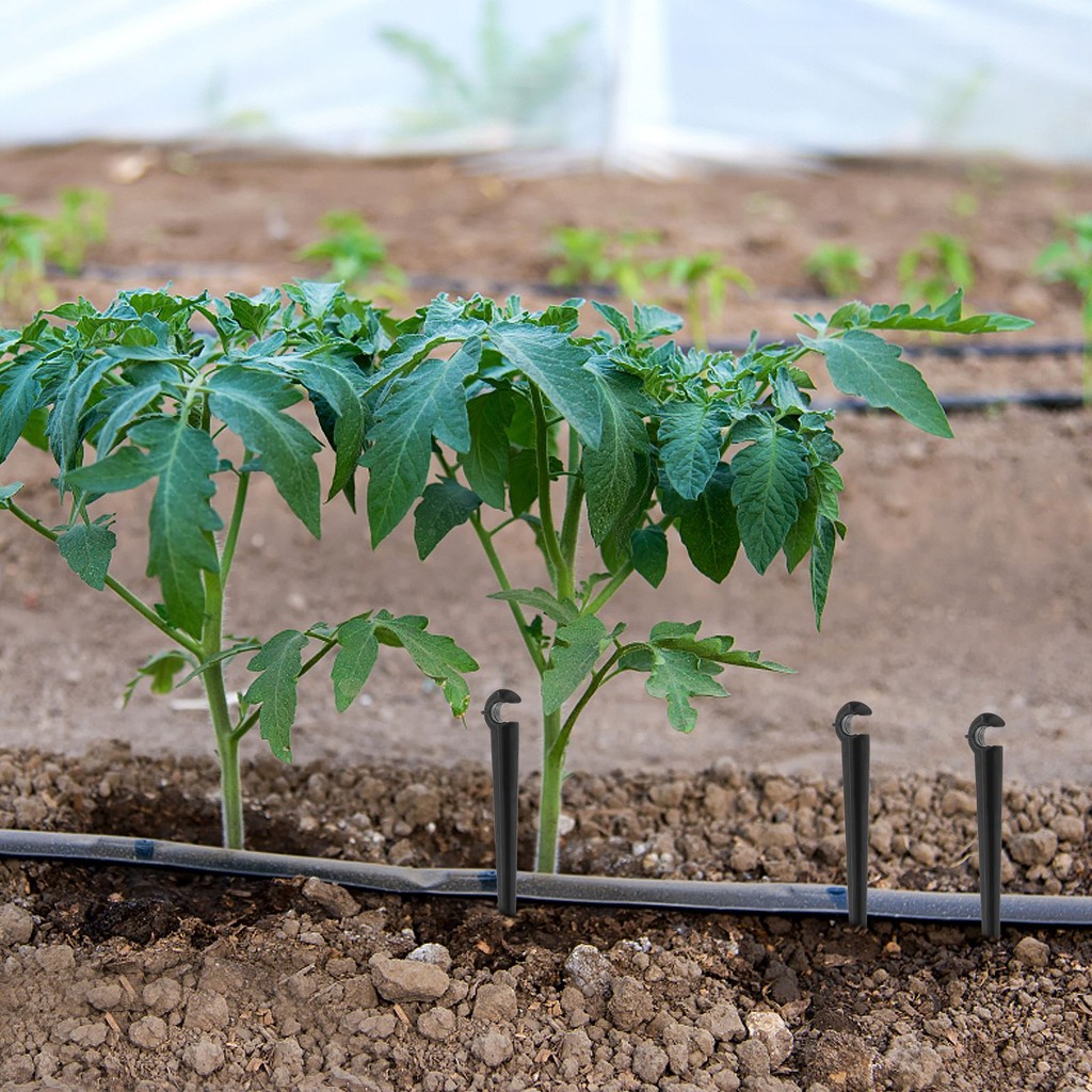 50Pcs Ground Pole Irrigation Stakes Bracket Hose Insert Rod Irrigation Pipeline Drip Irrigation