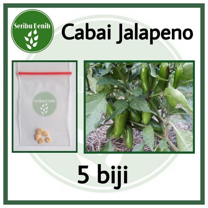 5 Benih Cabe Jalapeno Fanatic - Bibit Cabai Known You Seed Tanaman Sayur Repack [ SERIBU ]