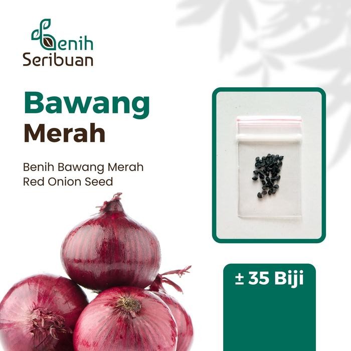 Benih Bibit Bawang Merah Lokananta Cap Panah Merah - Benih Tanaman Sayur Sayuran Seribuan