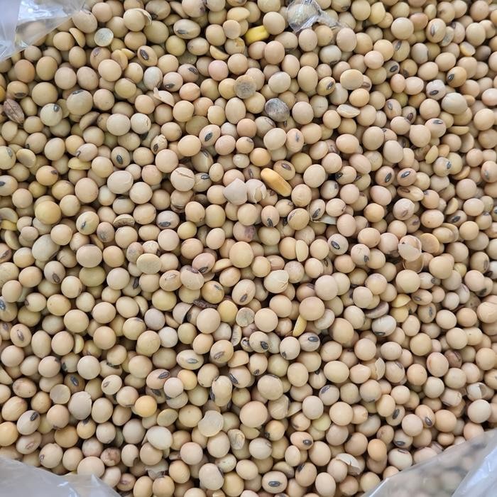 

JTTOP" KACANG KEDELAI IMPORT 1KG