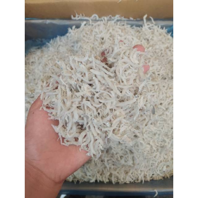 

Ikan asin teri medan asli kasar segar fresh