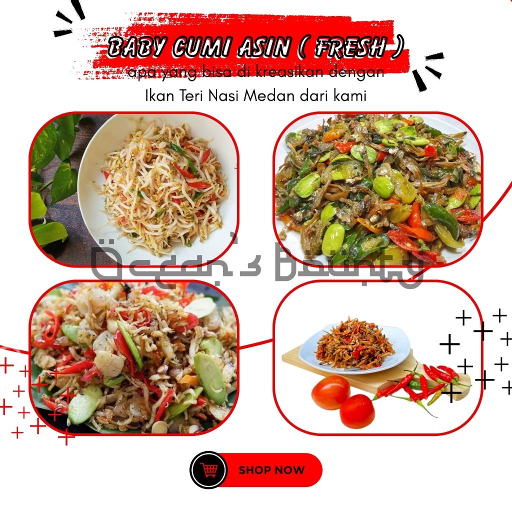 

Ikan Teri Nasi Medan Seafood Ikan Laut Kecil Anchovy 0.5 kg - 1kg Premium