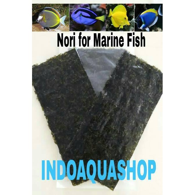 

JTTOP" NORI - MARINE FISH FOOD
