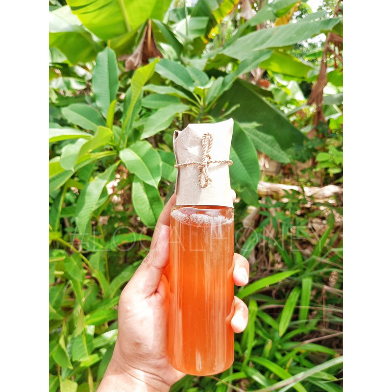 

Omahjajanan Madu Murni Asli Hutan Sumatera Mix 2 Botol Hitam + Natural (250Ml)