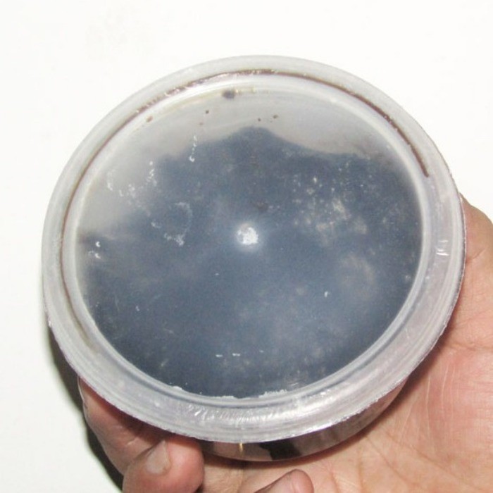 

Sega Tungtung Petis Vegetarian Vegan Spesial Khas Surabaya Super 200Gr