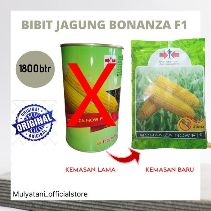 

Terlaris Bibit Benih Jagung Manis Bonanza F1 1800 Biji Original Cap Panah Merah