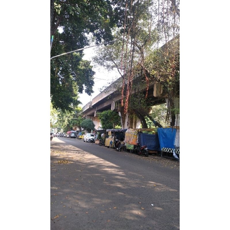 

madu multiflora curah 5kg