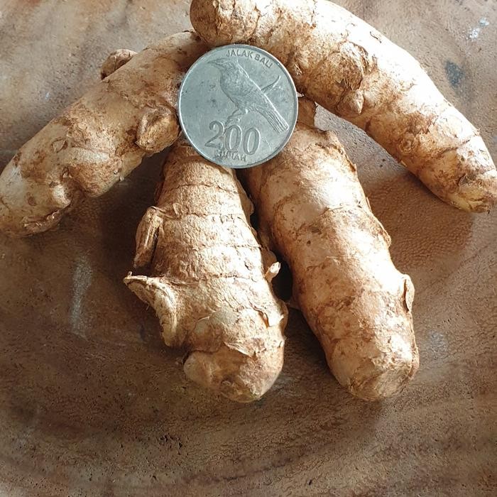 

Terlaris Kunyit/Kunir Kuning Segar 1Kg. Rempah Herbal