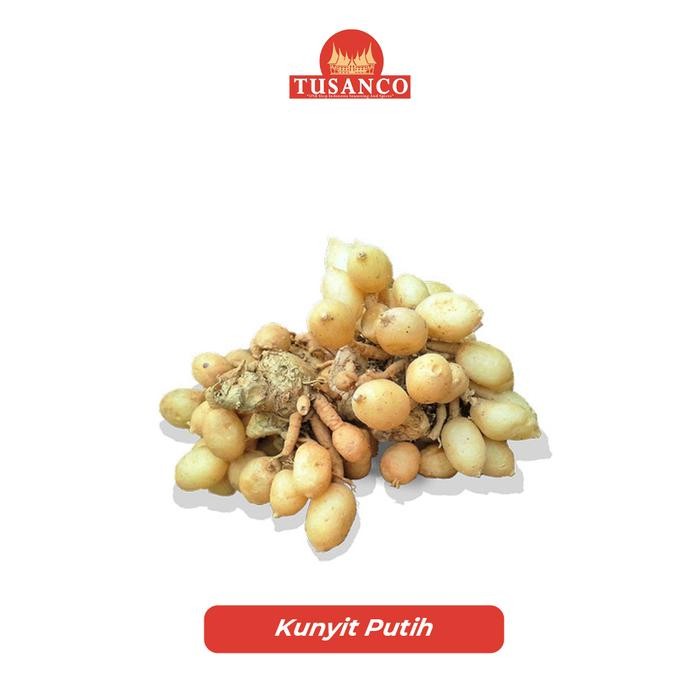 

Terlaris Kunyit Putih Tusanco 1 Kg