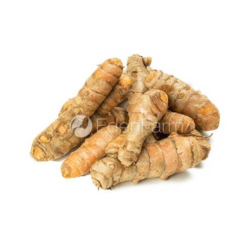 

Terlaris Kunyit Segar 1/4 Kg - 250 Gram