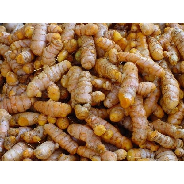 

Terlaris Kunyit Segar 500Gr