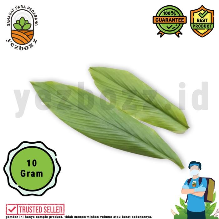 

Terlaris Daun Kunyit