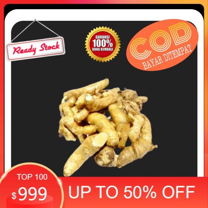 

Terlaris Kunyit Putih 1 Kg Kunyitputih Segar Kunyit Putih Segar