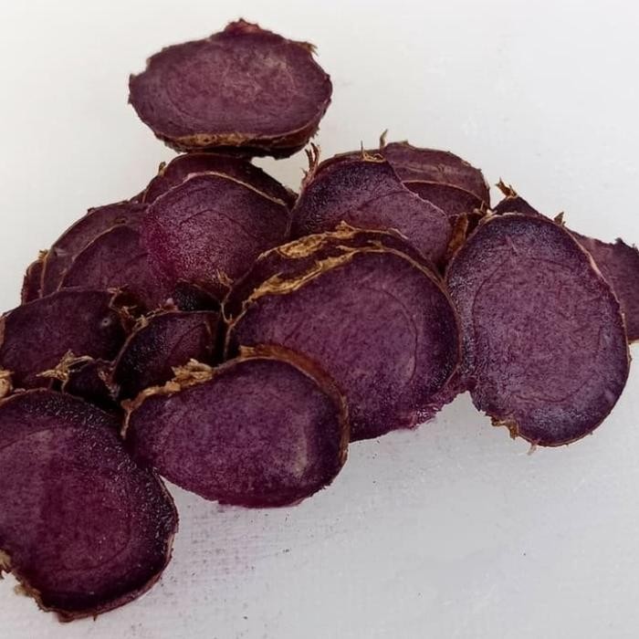 

Terlaris Bibit Tanaman Kunyit Hitam Asli