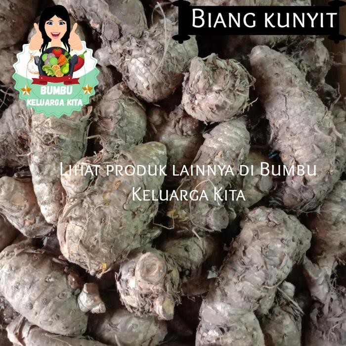 

Terlaris Biang Kunyit Super Segar 1Kg Obat Herbal