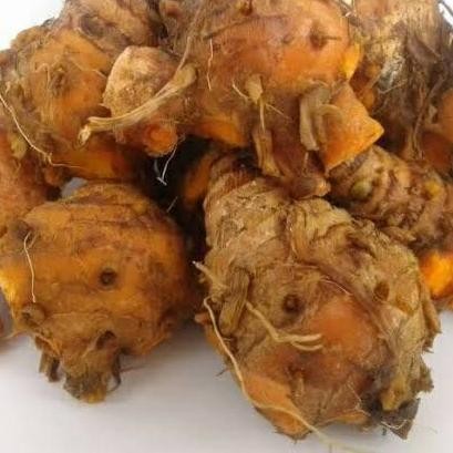 

Terlaris Biang Kunyit 500 Gram