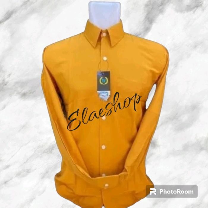 

Terlaris Wendyat Kemeja Formal Pria Kuning Mustrad/Kuning Kunyit/Kemeja Polos Lengan Panjang Katun