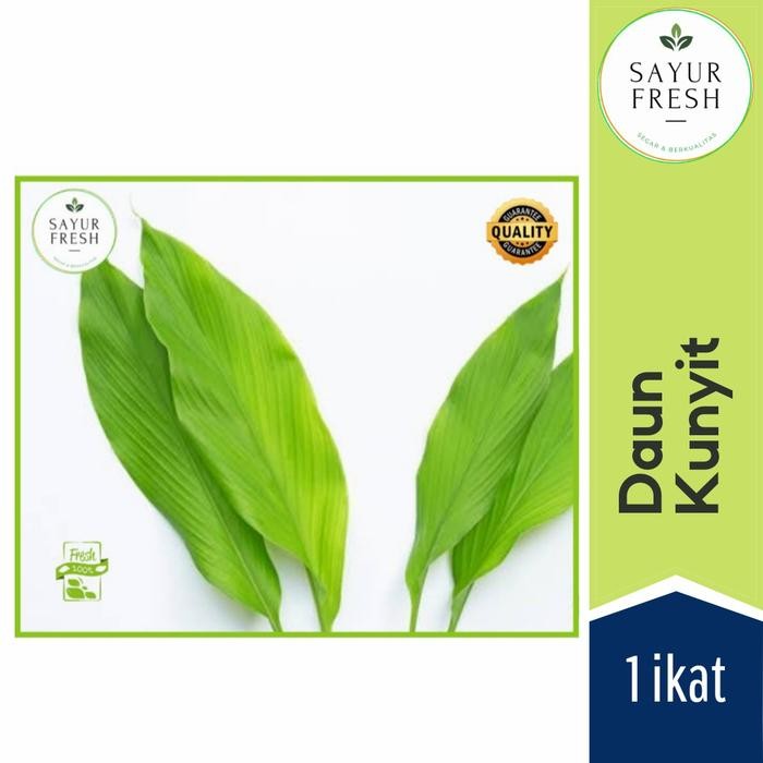 

Terlaris Daun Kunyit 1 Ikat