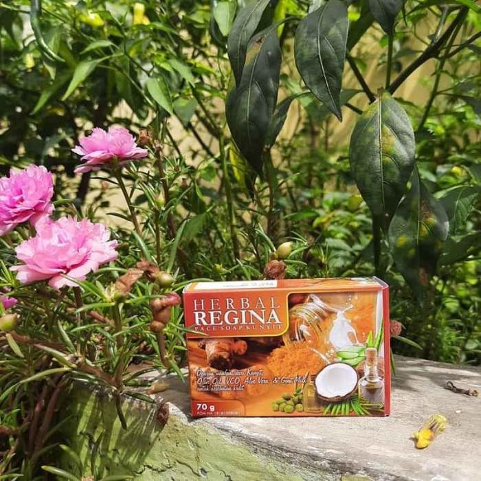 

Terlaris Sabun Herbal Kunyit Regina Penghilang Jamur Panu Kurap Original 100%